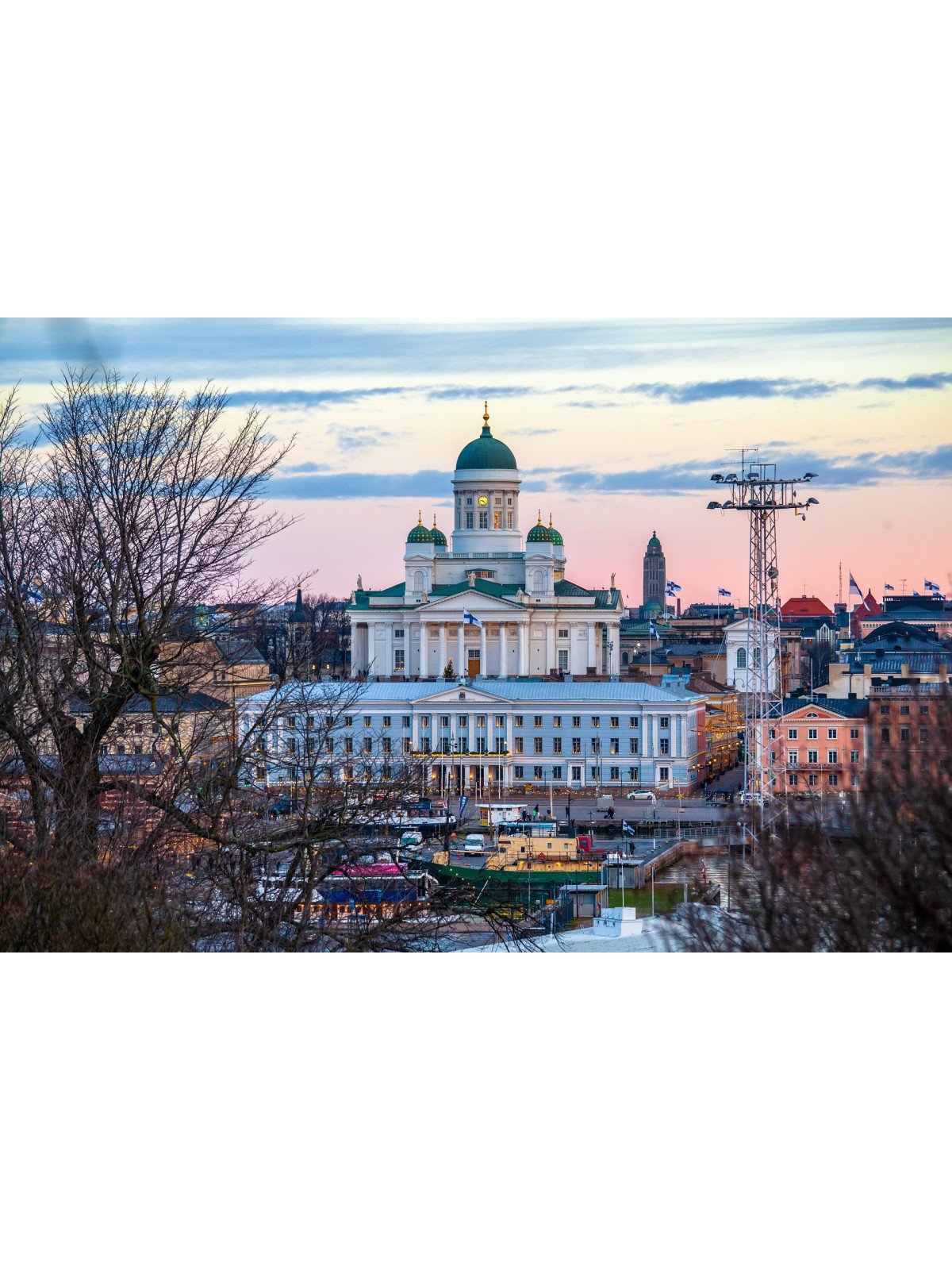 Low/lower-middle income country member